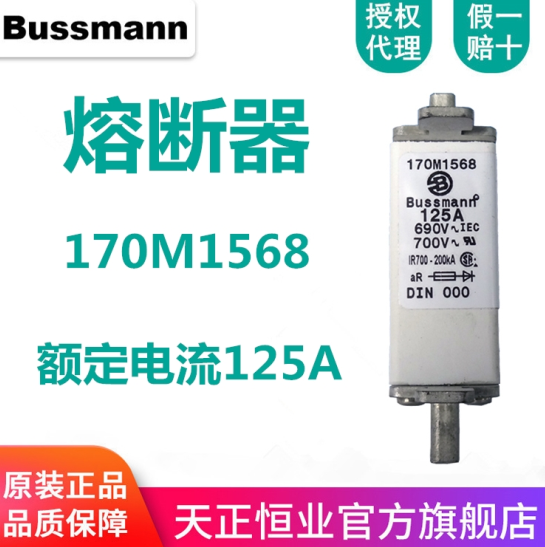 bussmann 欧标方体熔断器 170M1568